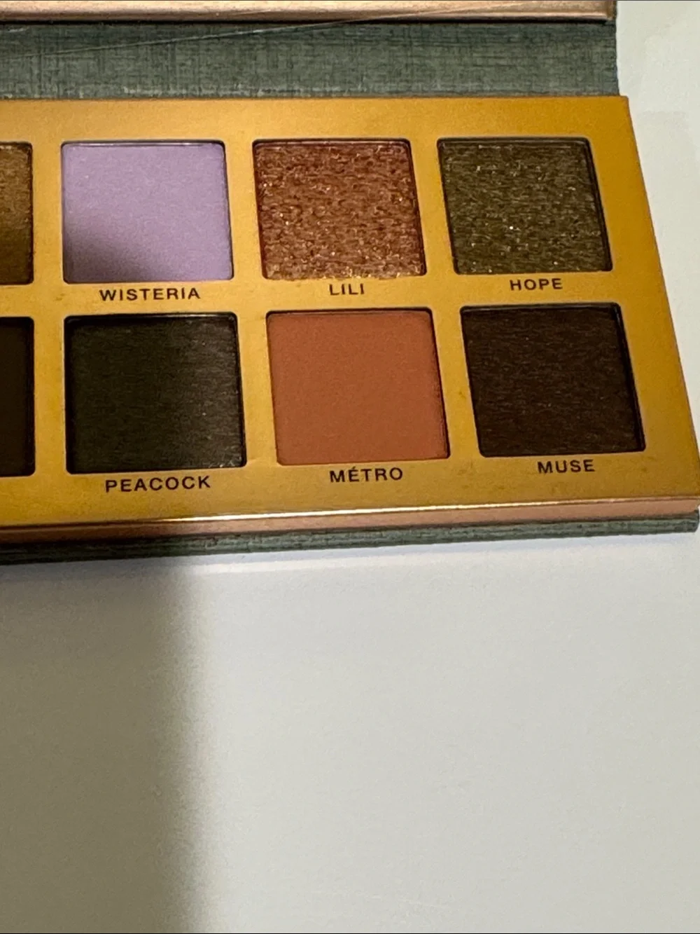 New Anastasia eye shadow and pressed pigment palette.